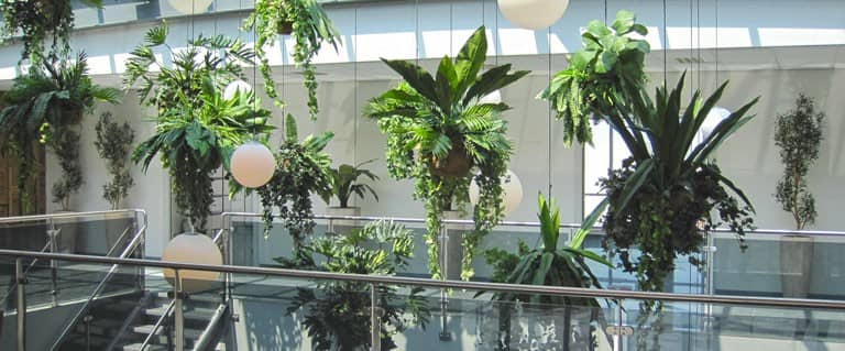 Plantas suspensas artificiais