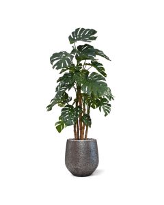 Monstera deluxe x5 planta artificial - 180cm