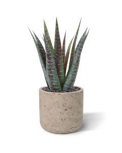 Planta artificial Aloe 30cm