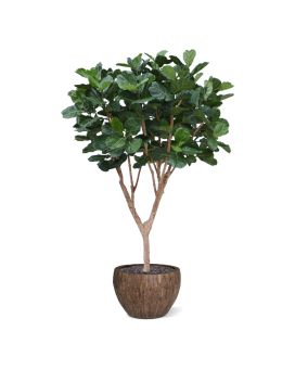 Árvore artificiais Ficus Lyrata XL Deluxe 300cm
