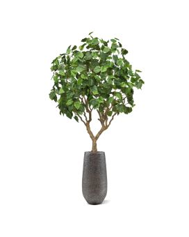 Árvore artificiais Ficus Umbellata 250cm