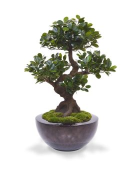 Panda Bonsai árvore artificial sobre base 70cm