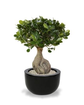 Panda Bonsai árvore artificial 55cm