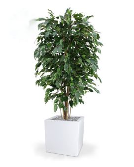 Ficus Exotica deluxe planta artificial 150cm - verde - FR - retardador de fogo