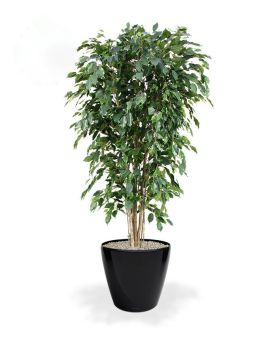 Ficus Exotica deluxe planta artificial 180cm - verde - FR - retardador de fogo