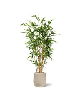 Bambu artificial variegado de 170 cm