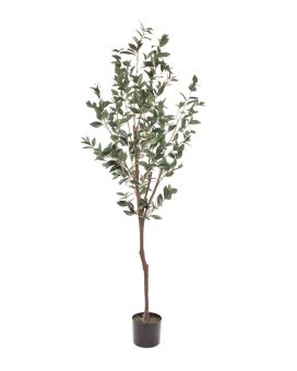 Laurel árvore artificial promocional 190cm