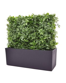 Sebe artificial Schefflera 80x25x56cm - resistente aos raios UV