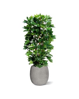 Coluna Schefflera planta artificial 120cm