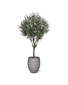 Árvore artificial Olive XL 250cm Deluxe