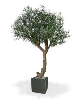 Oliveira Artificial Gigante 275 cm em forma de Y