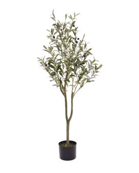Arte Oliveira promo 120cm