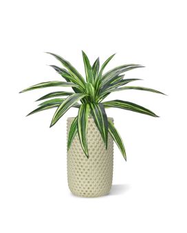 Planta Draceana Massangeana artificiais 40 cm verde