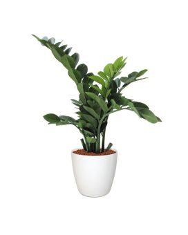 Planta artificial Zamioculcas 65cm