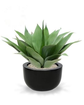 Agave Bouquet 50 cm UV