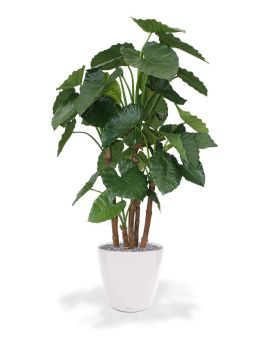 Alocasia Calidora deluxe planta artificial 165cm