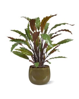 Calathea planta artificial vermelha 60cm