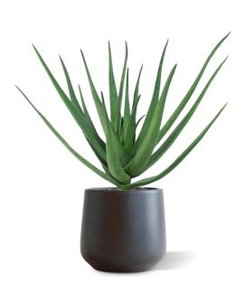 Planta artificial Aloe deluxe 60cm