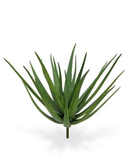 Aloë Deluxe Bouquet 70 cm