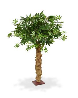Árvore artificial Acer Bonsai em tronco 85cm - verde