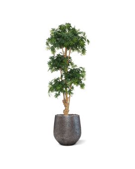 Árvore artificial Acer Bonsai deluxe 170cm - verde
