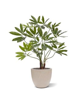 Philodendron Fun Bun Planta Artificial de Luxo 100cm