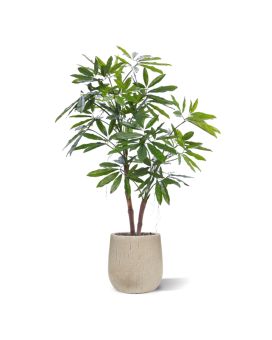 Planta Artificial Philodendron Fun Bun 155cm