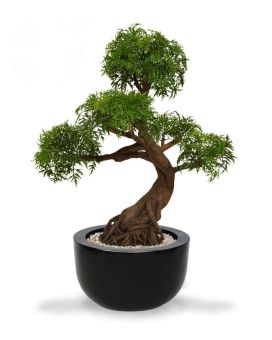 Ming Aralia Bonsai árvore artificial sobre base 90cm - verde - resistente aos raios UV