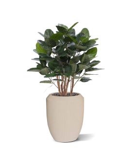 Ficus Audrey Planta Artificial 100cm