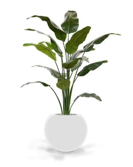 Palma artificial de viajante deluxo 165cm