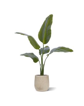 Planta artificial Strelitzia Nicolai 90cm