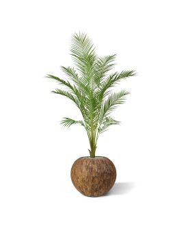 Areca palmeira artificial 140cm