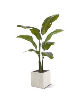 Palmeira-viajante artificiais promo 120cm