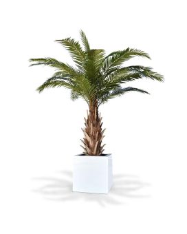 Palma artificial Phoenix Canary XXL sobre base 300cm