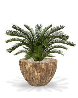 Cycas deluxe palma artificial M 80cm