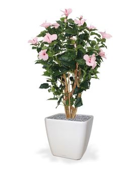 Hibiscus Deluxe 100 cm rosa