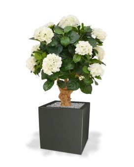 Hydrangea Deluxe em creme de 90 cm de tronco