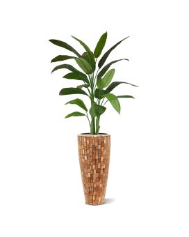Artificial Heleconia verde 170cm em pote