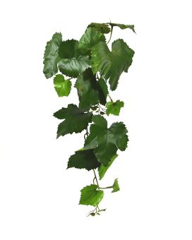 Branche artificial de uva 65 cm