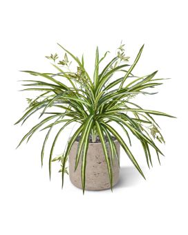 Pendente artificiais Chlorophytum RT 45cm