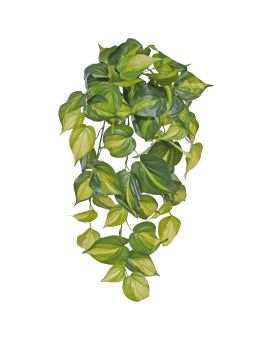 Planta suspensa artificiais Philodendron Scandens Brasil 50cm