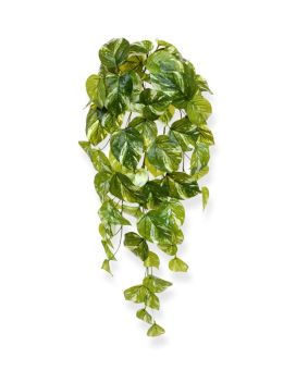 Pothos planta de enforcamento artificial 60cm