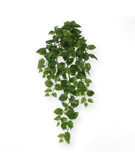 Scindapsus planta de enforcamento artificial 75cm - verde