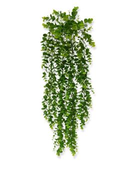Planta de arrasto de eucalipto 70 cm