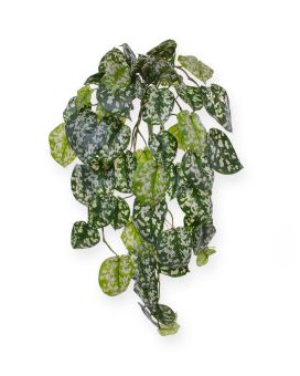 Planta de enforcamento Pictus Scindapsus Artificial 70 cm deluxe
