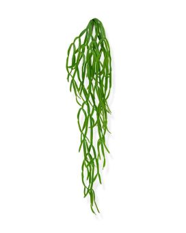 Planta de enforcamento artificial Rhipsalis Paradoxa 75cm