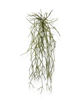 Planta de arrastamento Artificial Rhipsalis Micrantha 55 cm