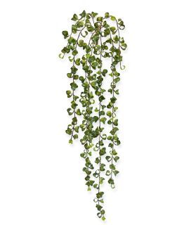 Peperomia artificial Peperomia Prostrata planta suspensa 80 cm