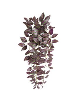 Pingente Tradescantia Zebrina 45cm em pote