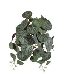 Saxifraga pingente verde/vermelho 45cm